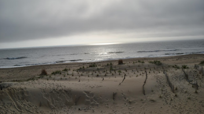 MARAH: Bitter to Sweet